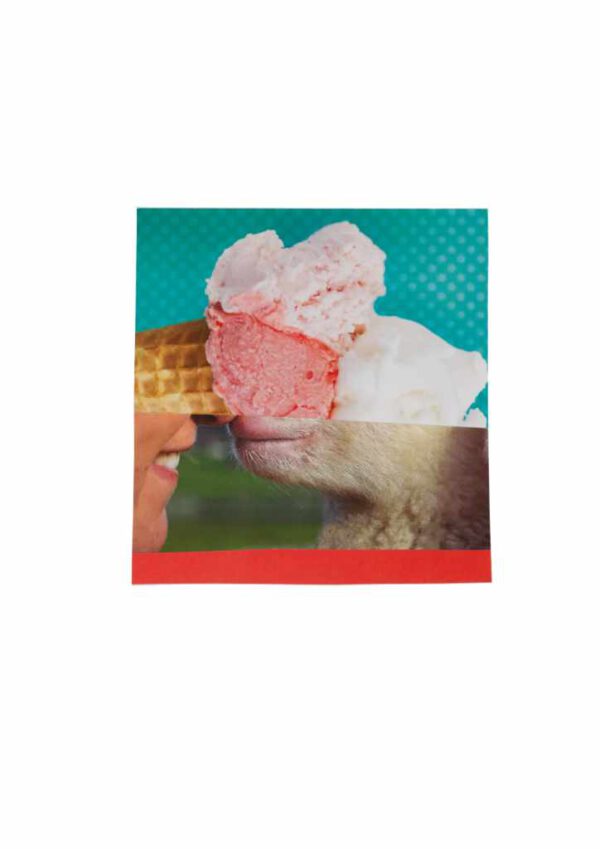 Collage # 032