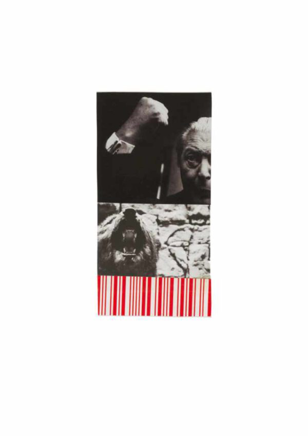 Collage # 033