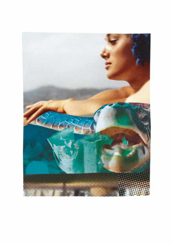 Collage # 052