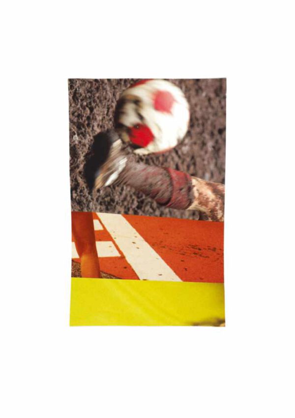 Collage # 084